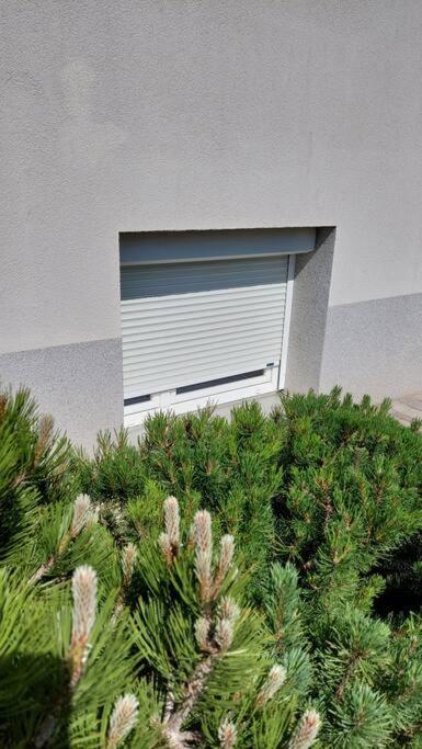 City Lodge Pine, Free Parking Ljubljana Exterior photo